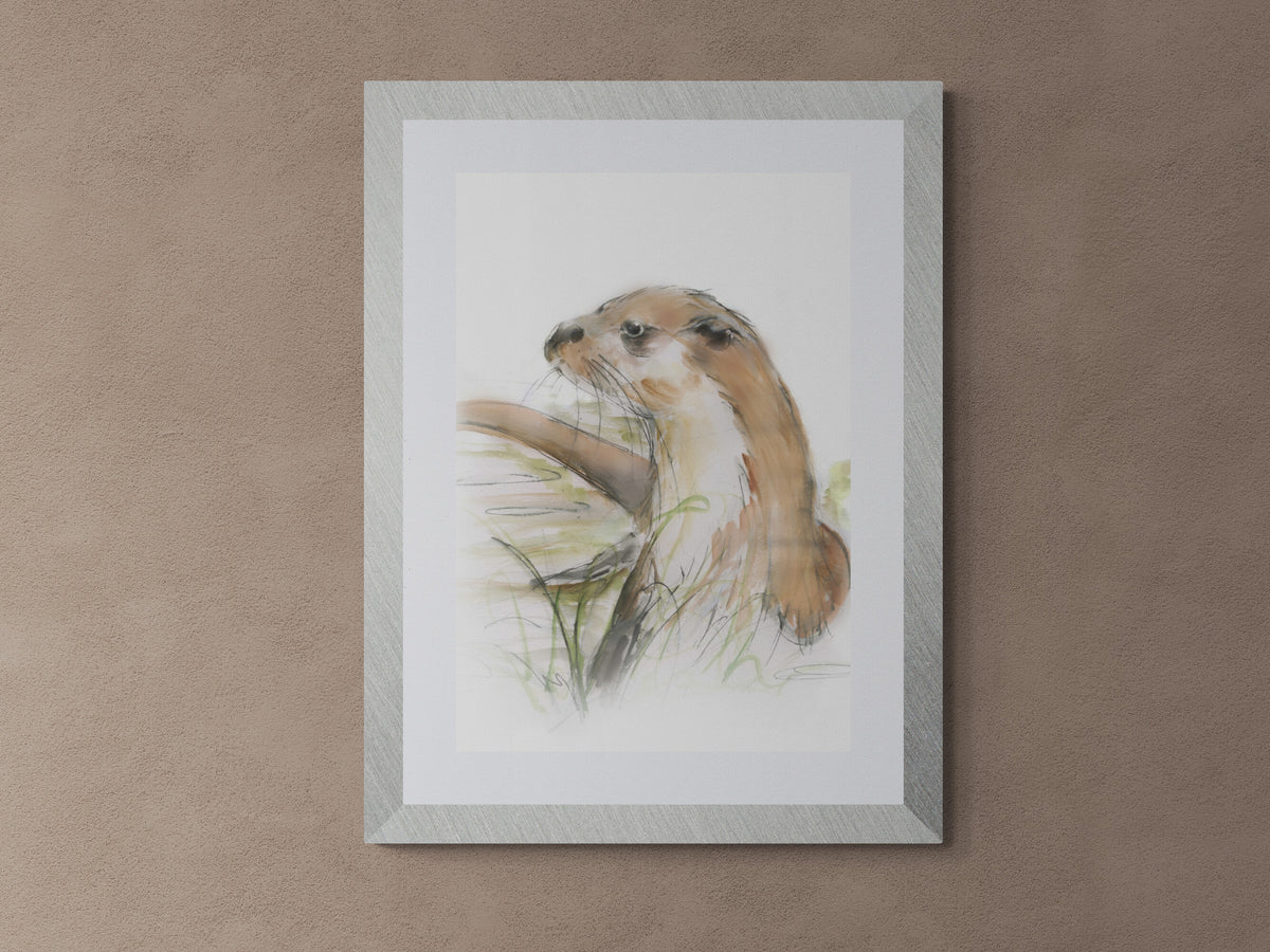 Framed Print Oakley the Otter image 2