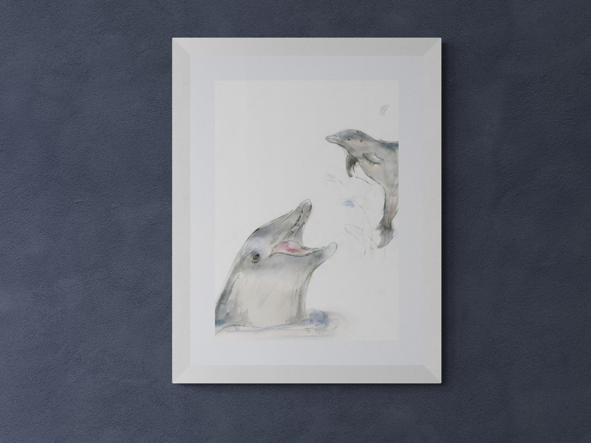 Framed Print Fin and Flipper the Dolphins image 6