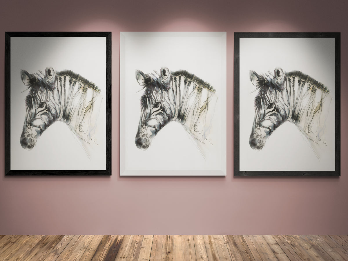 Framed Print Ziggy the Zebra image 3