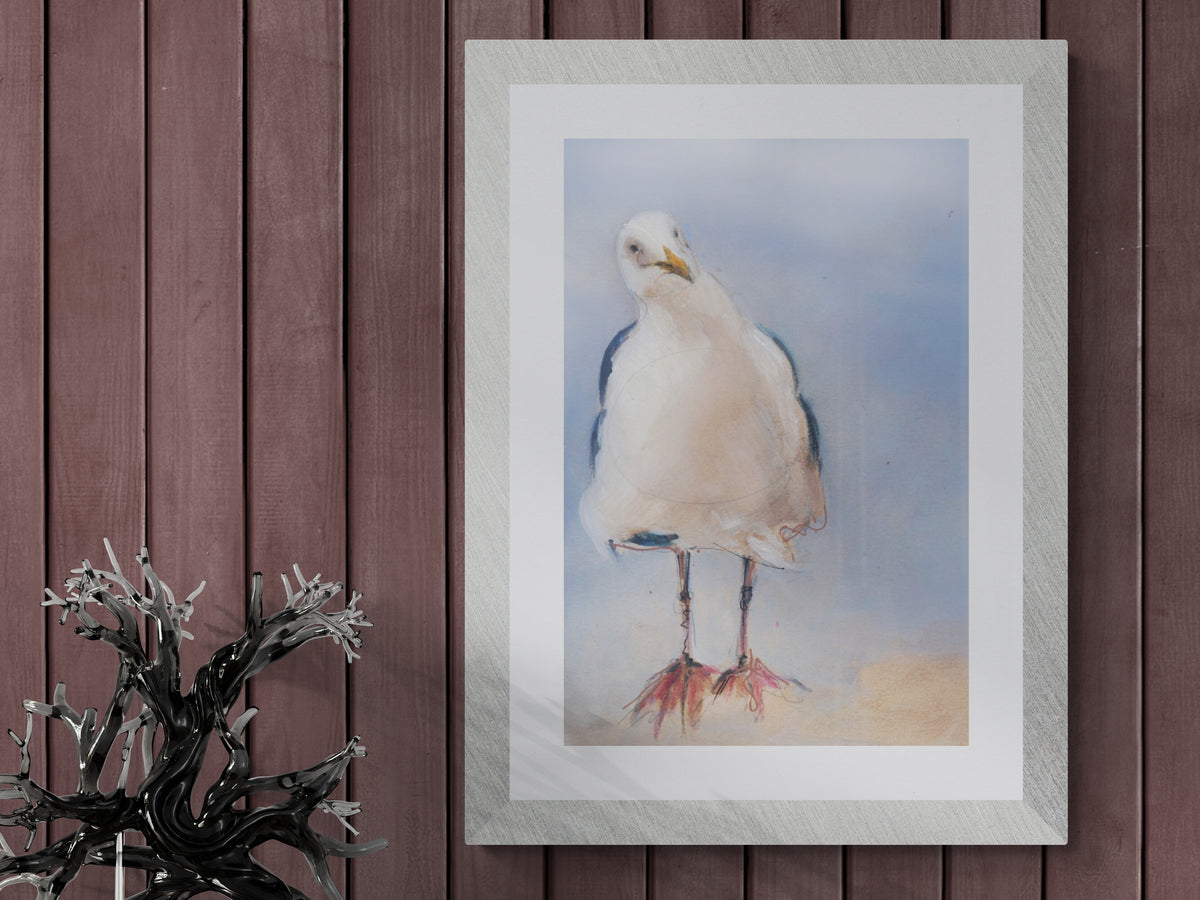 Framed Print Scully the Seagull image 2
