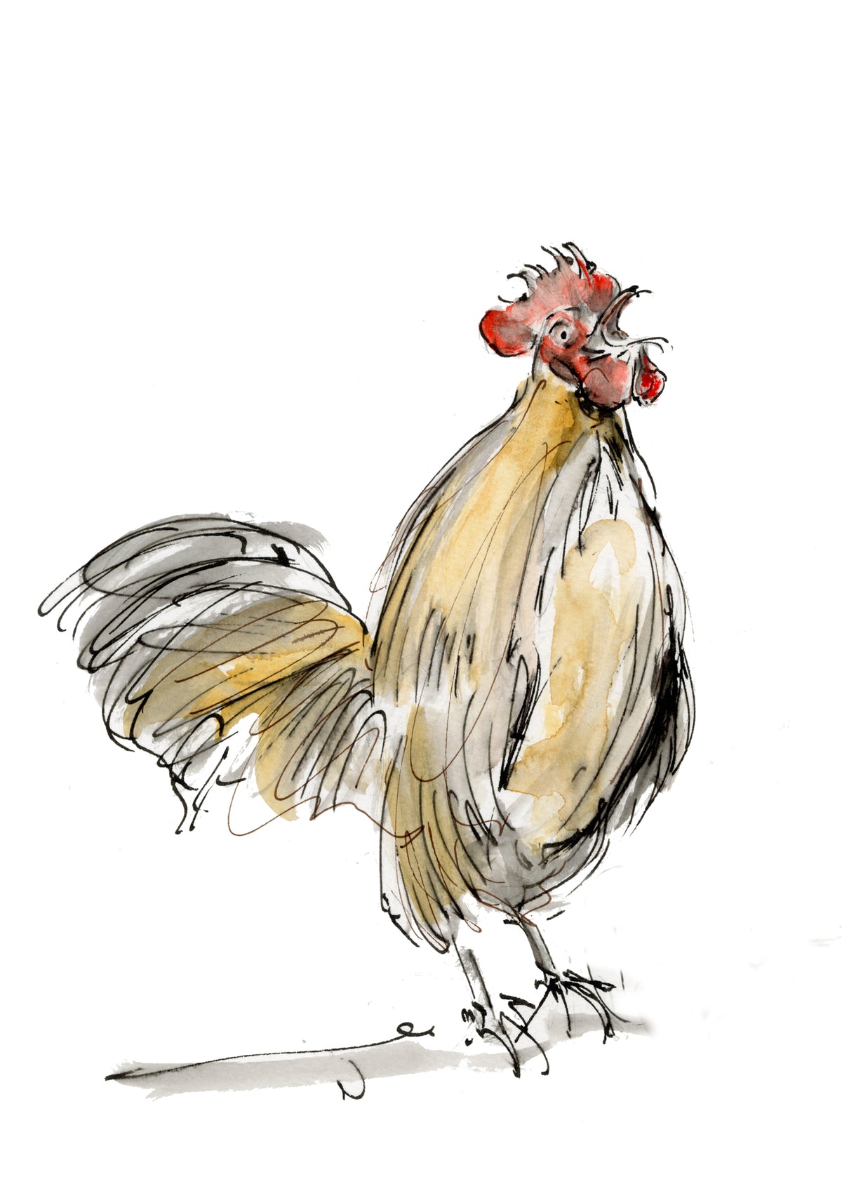 Limited Edition Canvas Print Gregory the Cockerel image 2