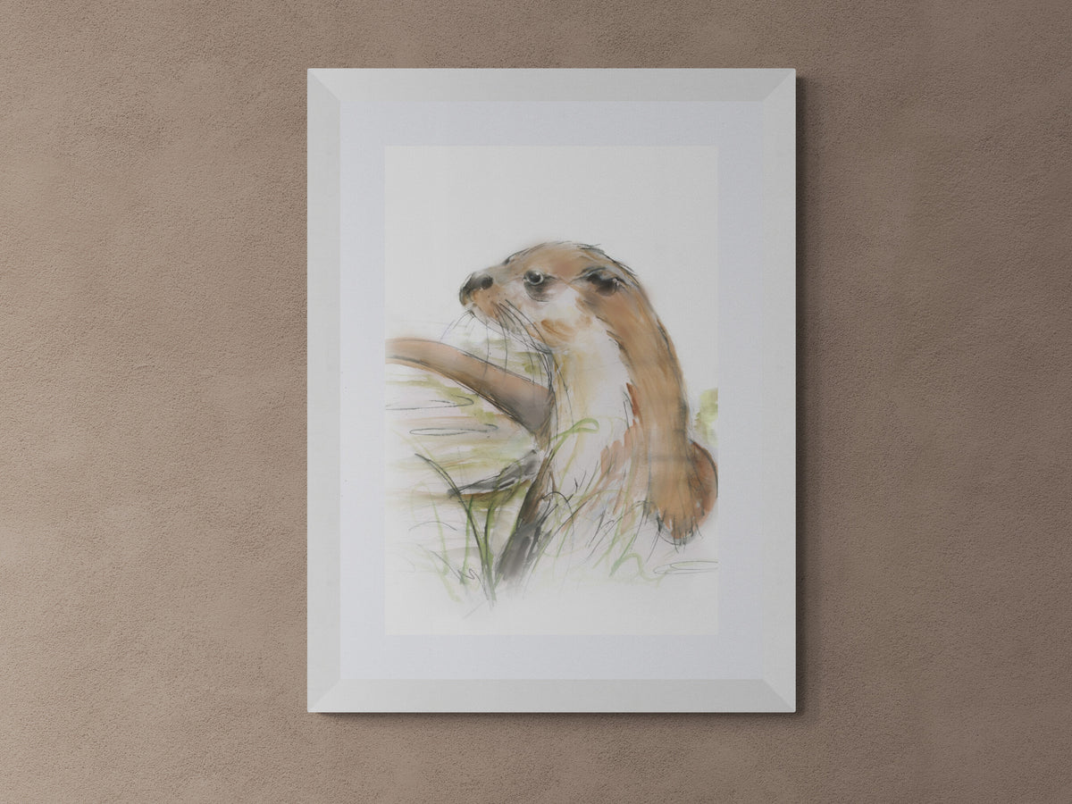 Framed Print Oakley the Otter image 4