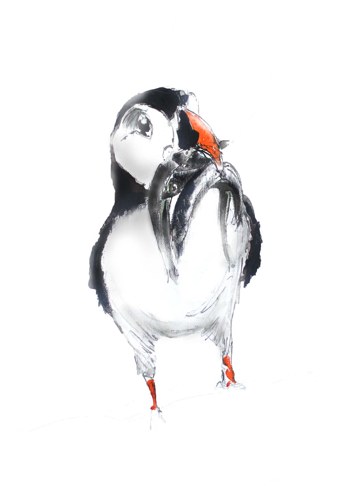 Greeting Card Patrick the Puffin image 0