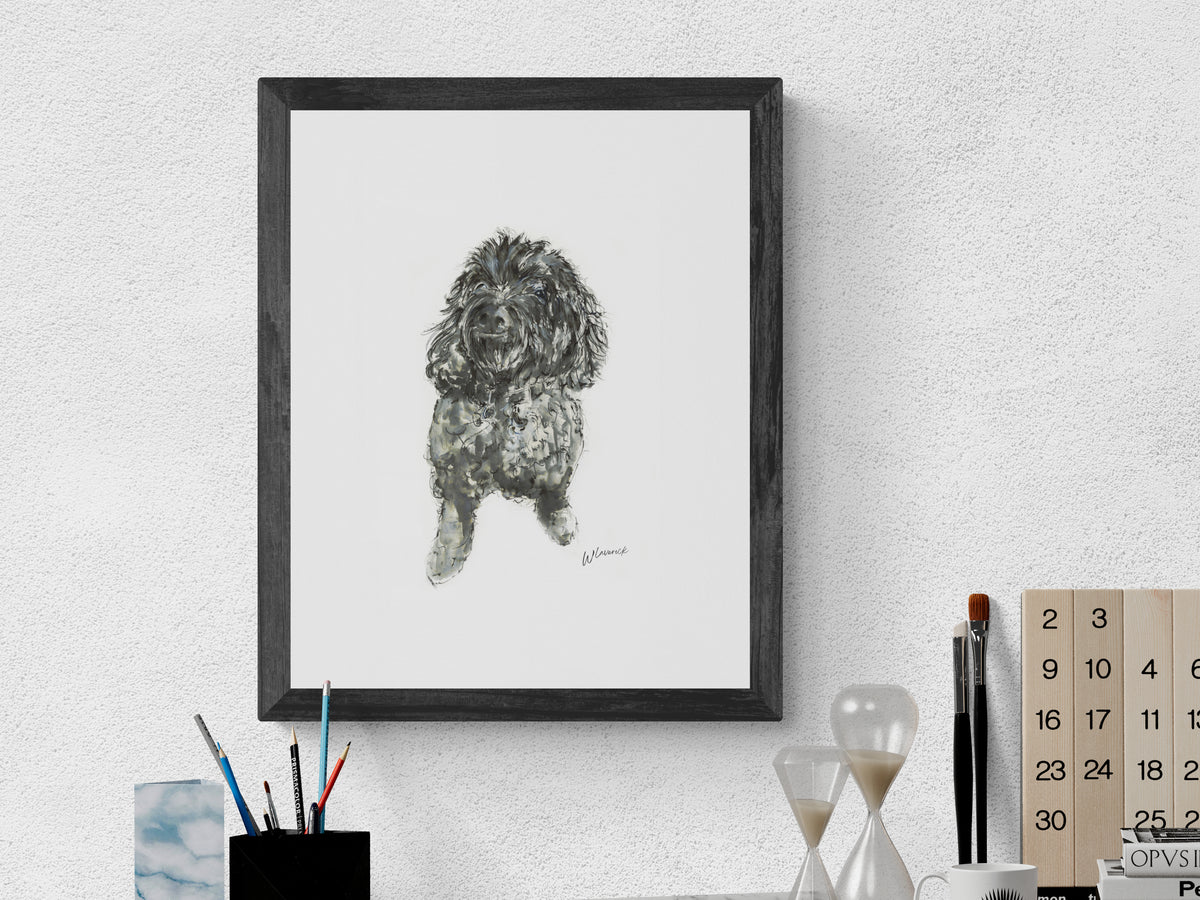 Framed Print of Daisy the Cookapoo
