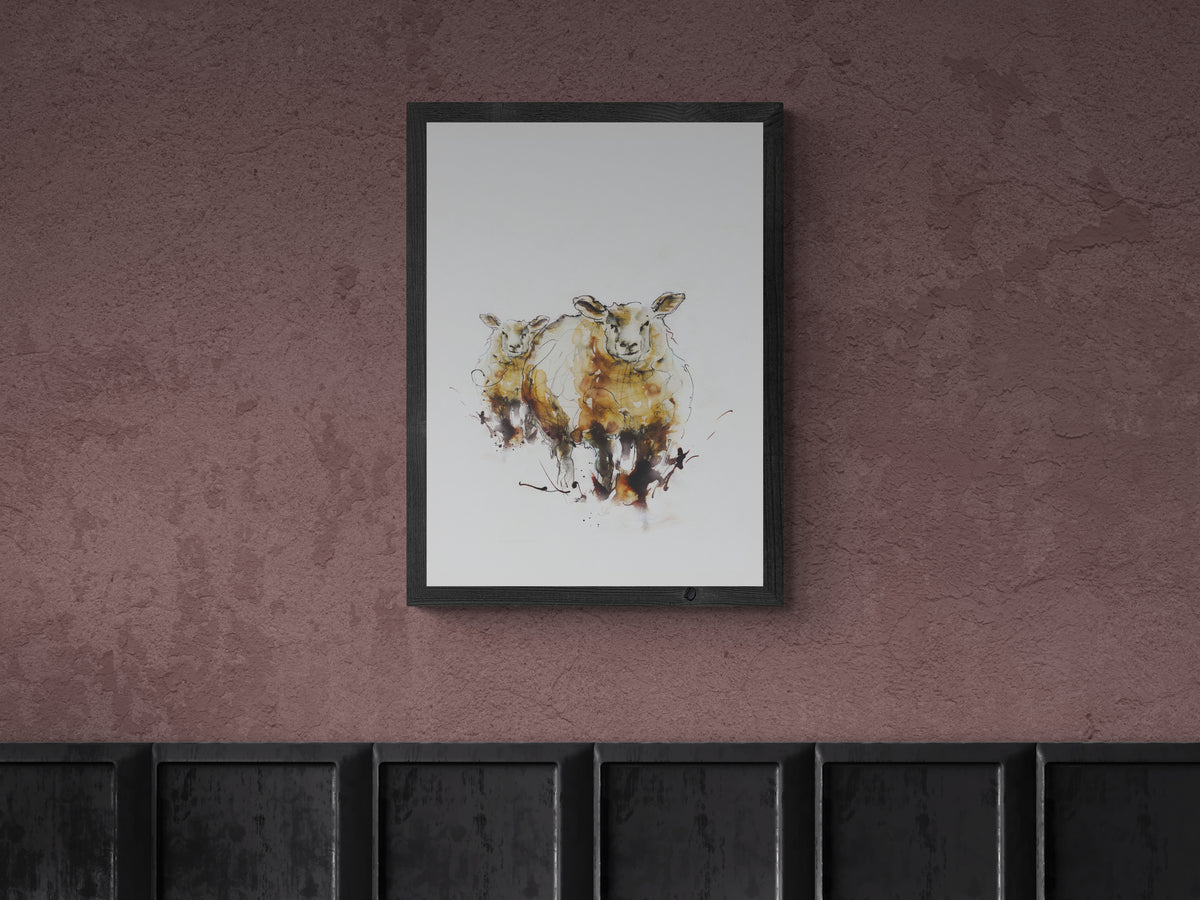 Framed Dolly and Daisy Welsh Woolly Sheep