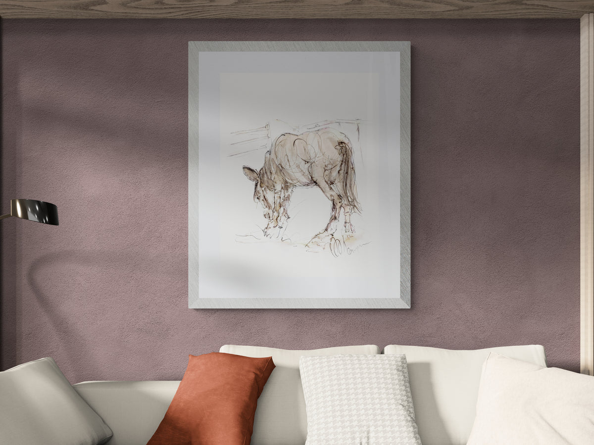 Framed Print Finley the Donkey
