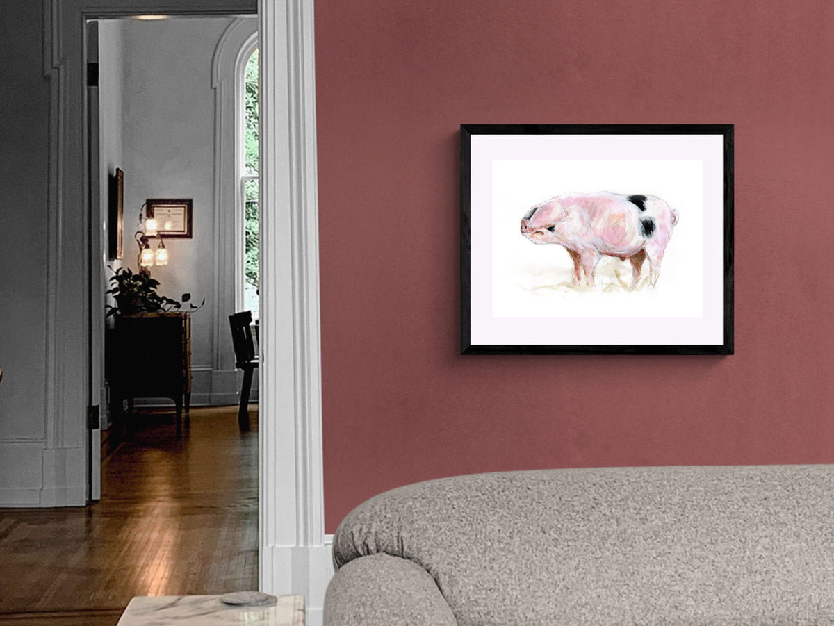 Framed Print Freddy the Gloucestershire Old Spot Pig