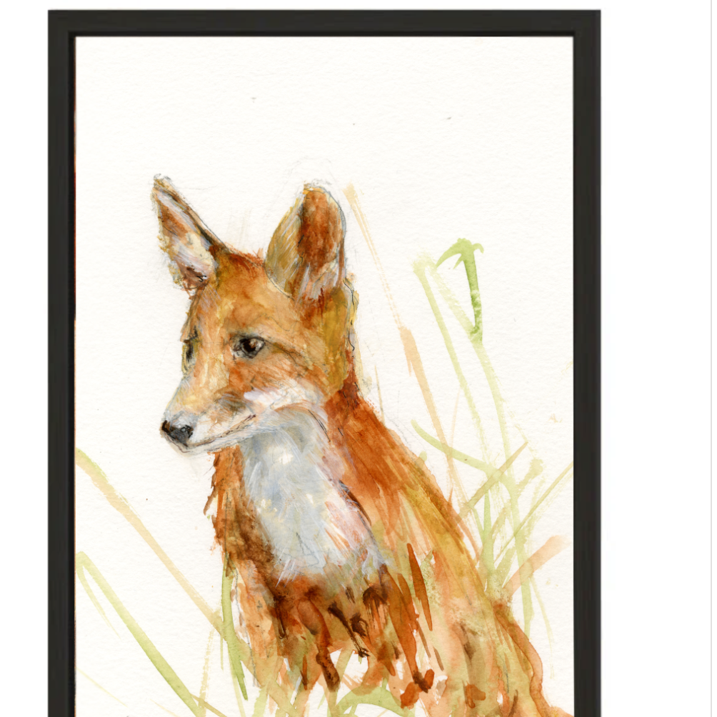 Limited Edition Framed Canvas Wall Art Oliver the Fox