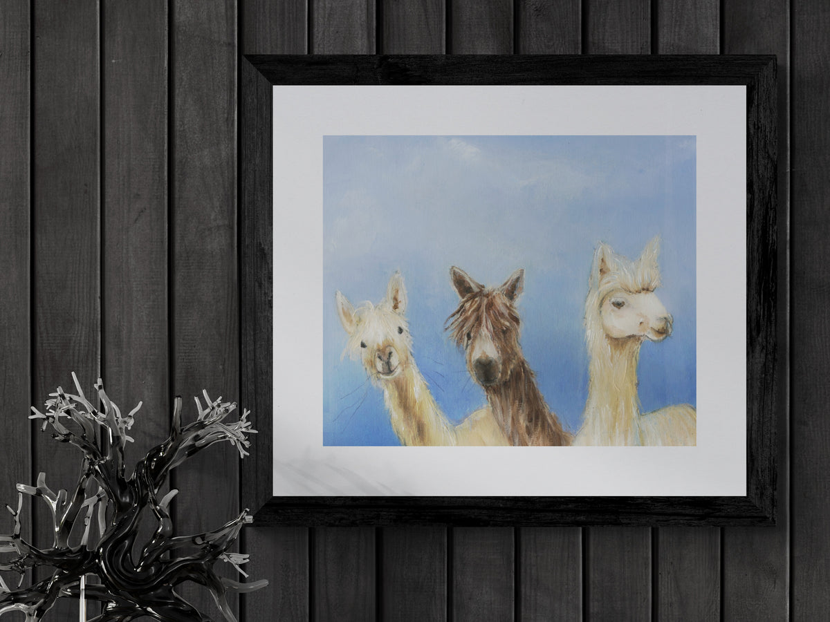 Framed Print the Three Alpaca Musketeers image 3