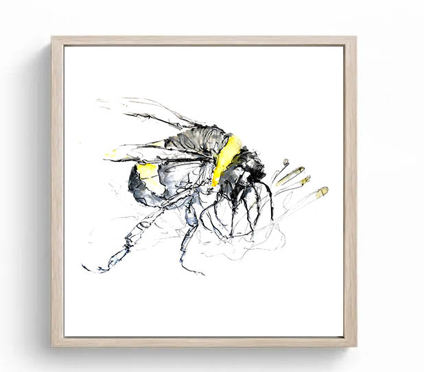 Limited Edition Square Canvas Print Bertie the Bumble Bee image 2