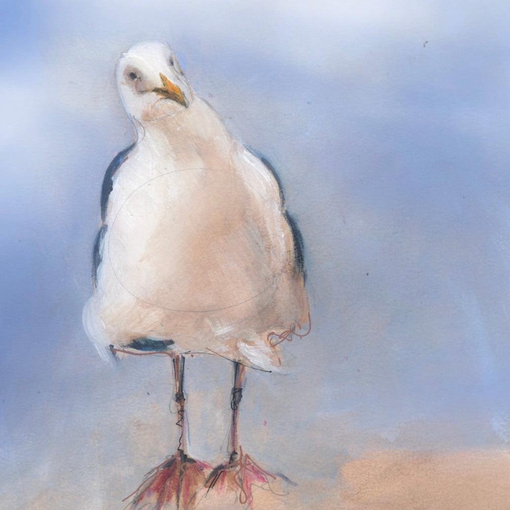 Framed Print Scully the Seagull
