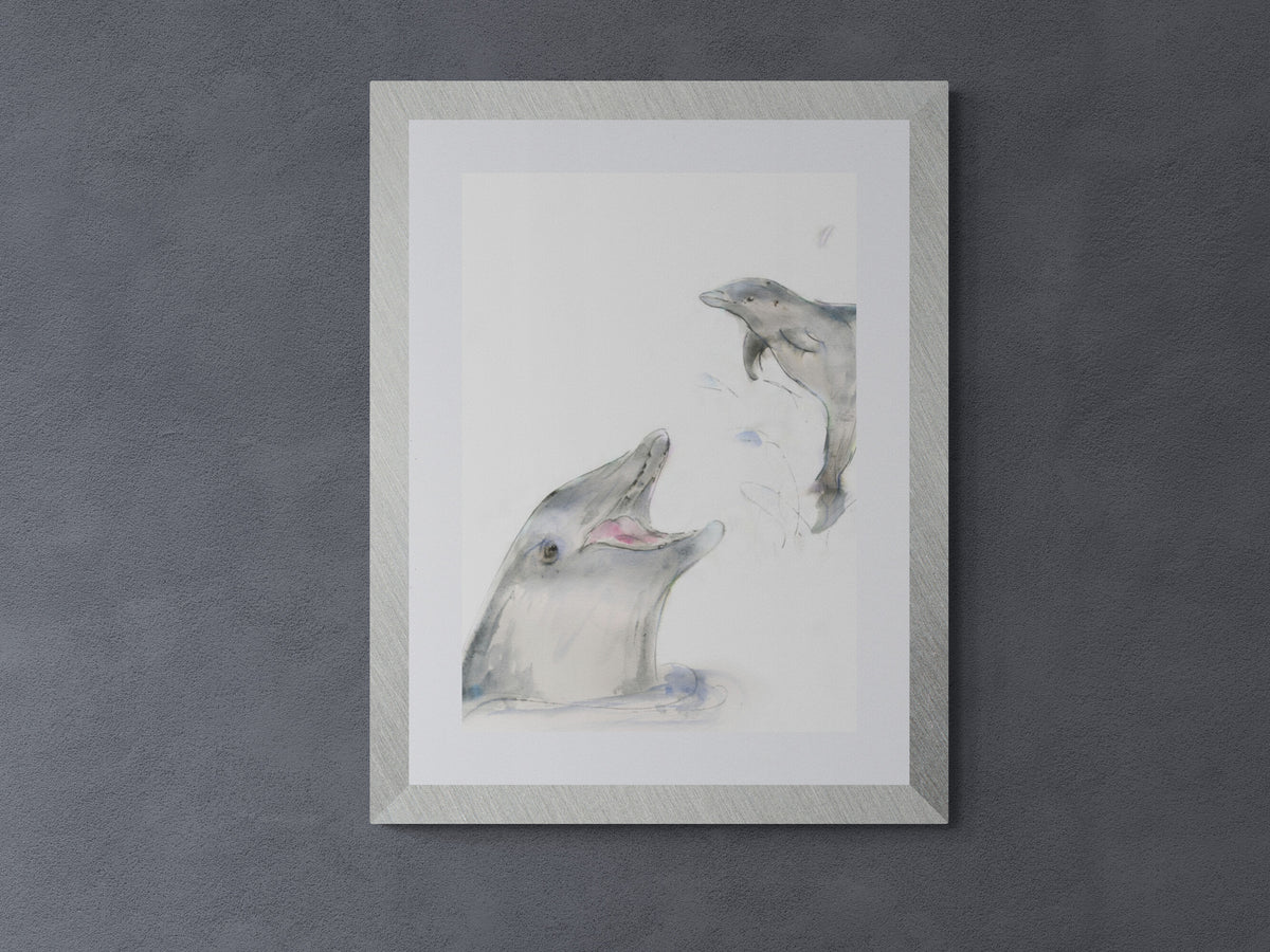 Framed Print  Fin and Flipper the Dolphins image 4