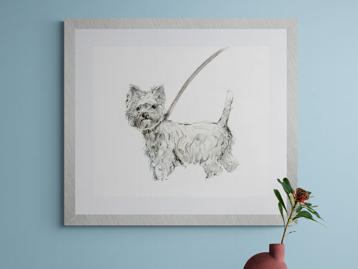 Framed Print of Norman the Westland Terrier