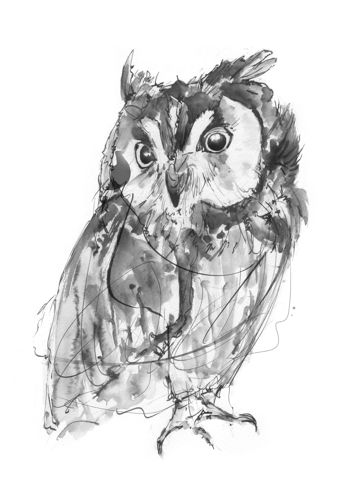Framed Owl Print - Museum Quality Fine Art | Wendy Laverick Ltd image 1