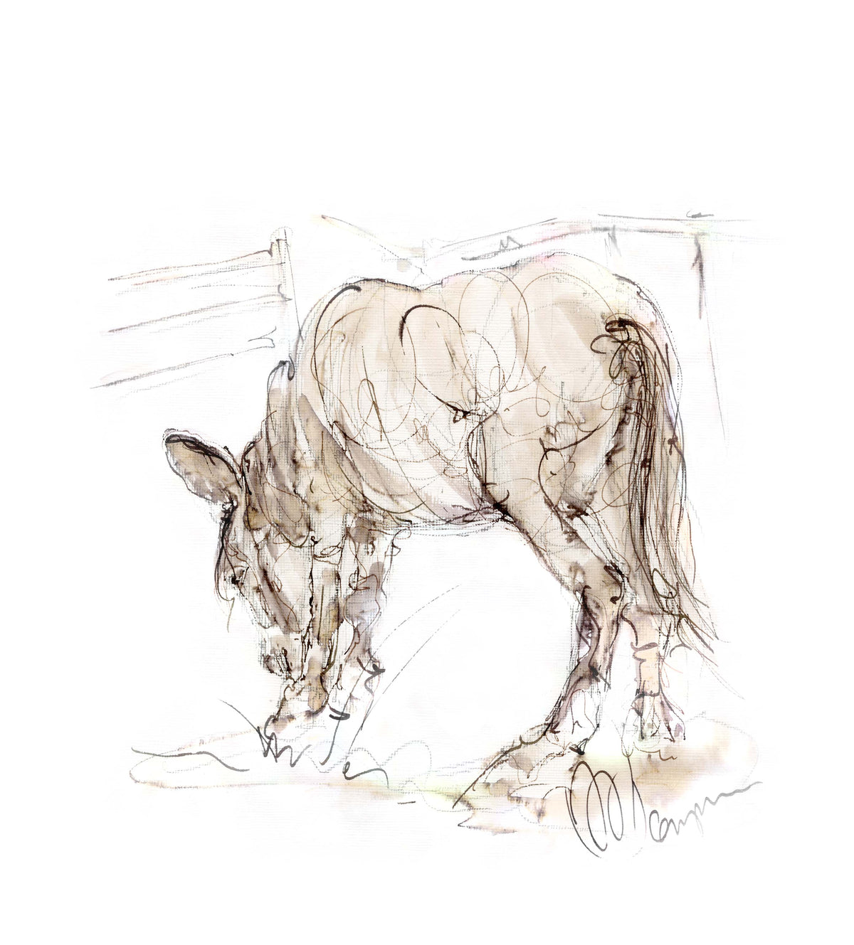 Framed Print Finley the Donkey image 1