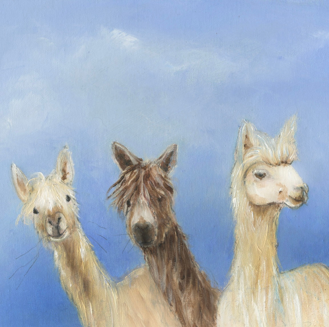 Greeting Card 3 Alpacas Porthos, Ethos and Aramis