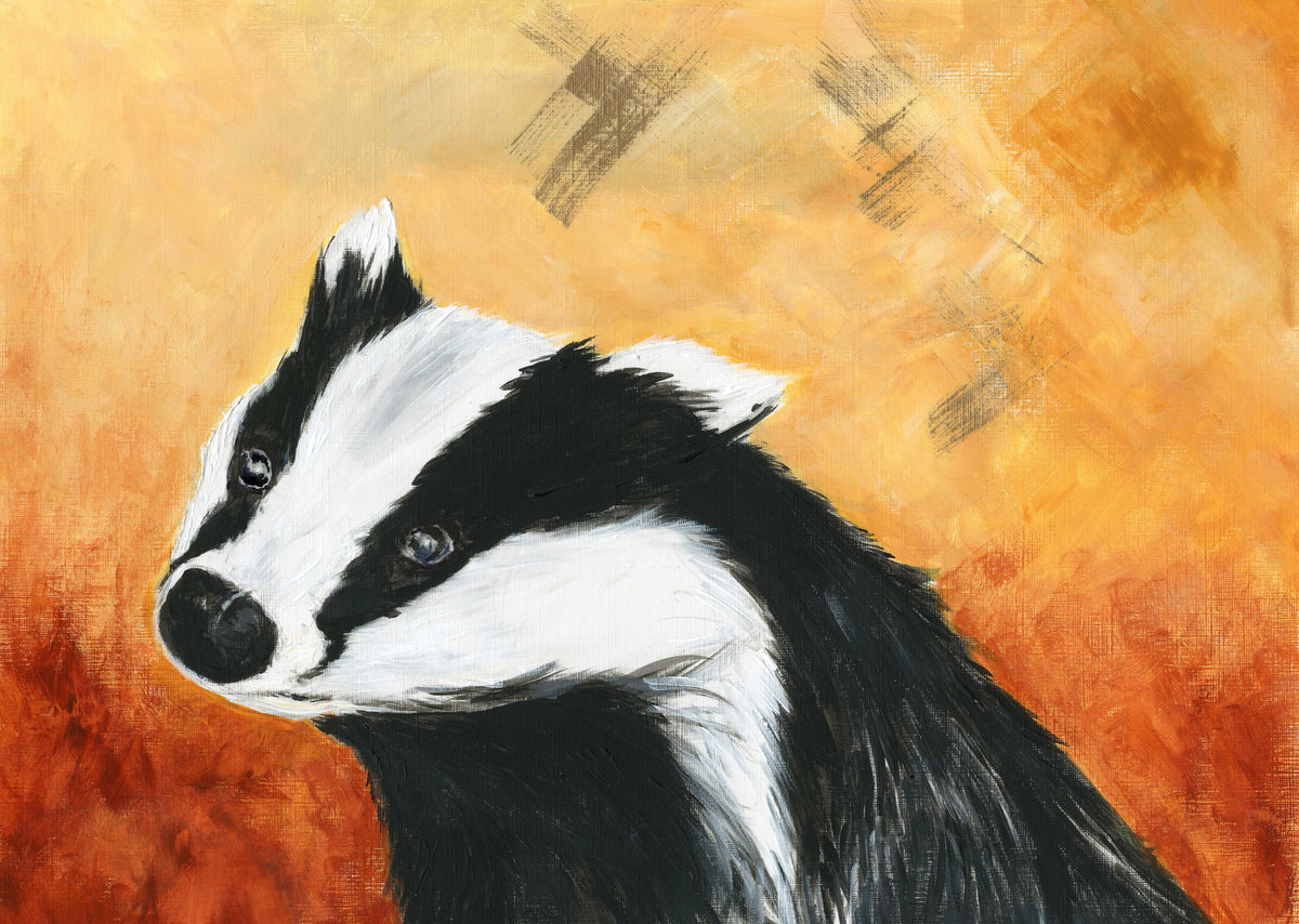 Framed Print Digger the Badger image 1