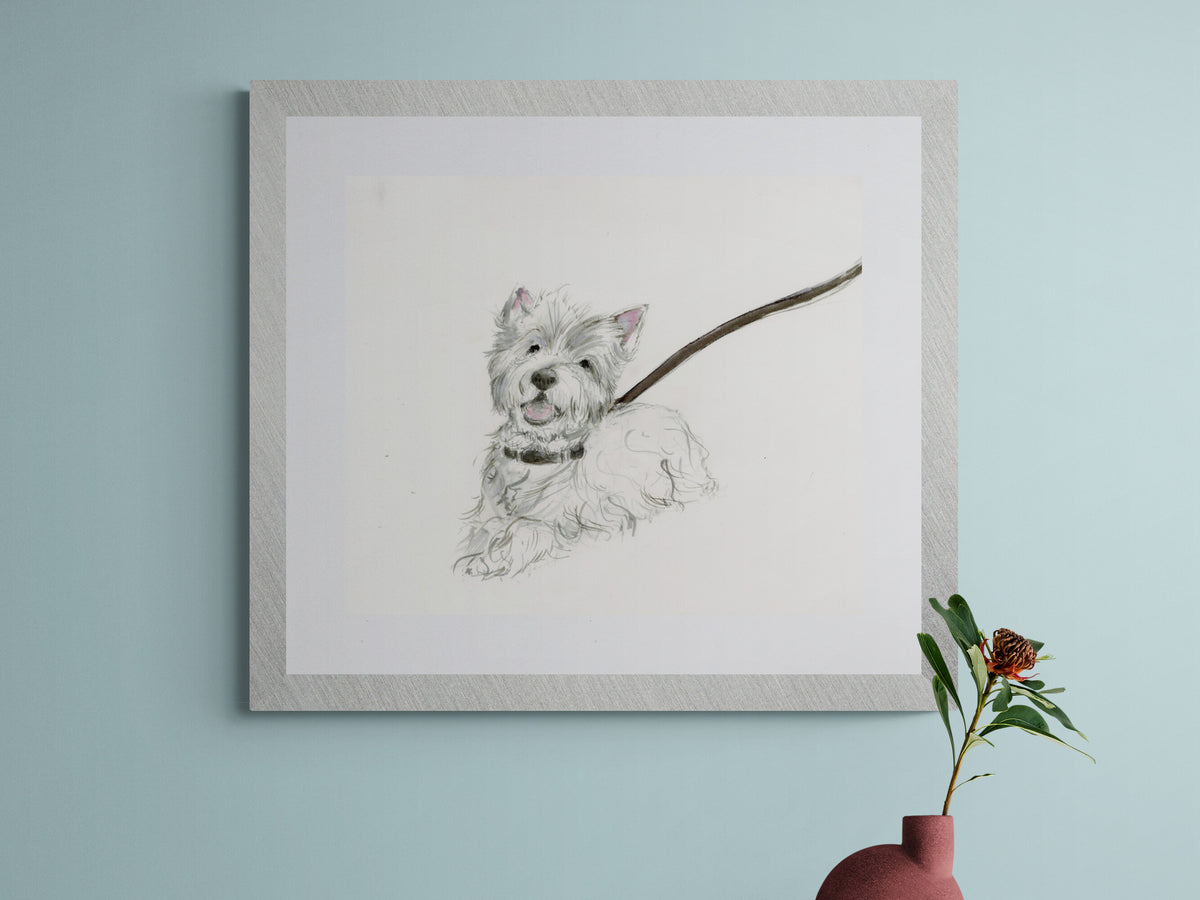 Framed Print of Miss Patsy the Westland Terrier