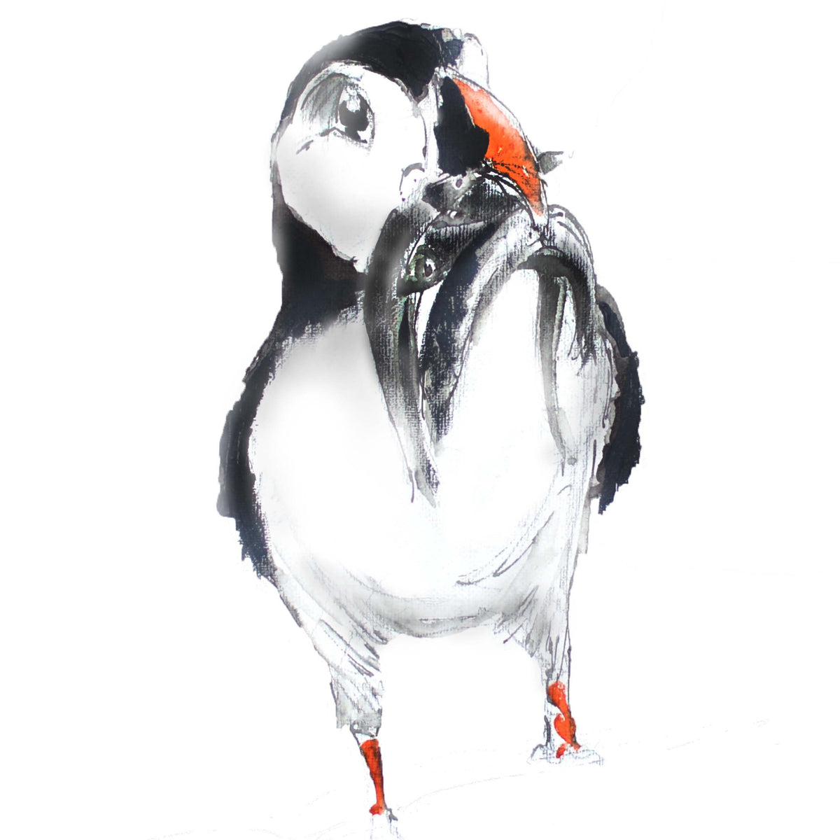 Framed Print Patrick the Puffin image 1