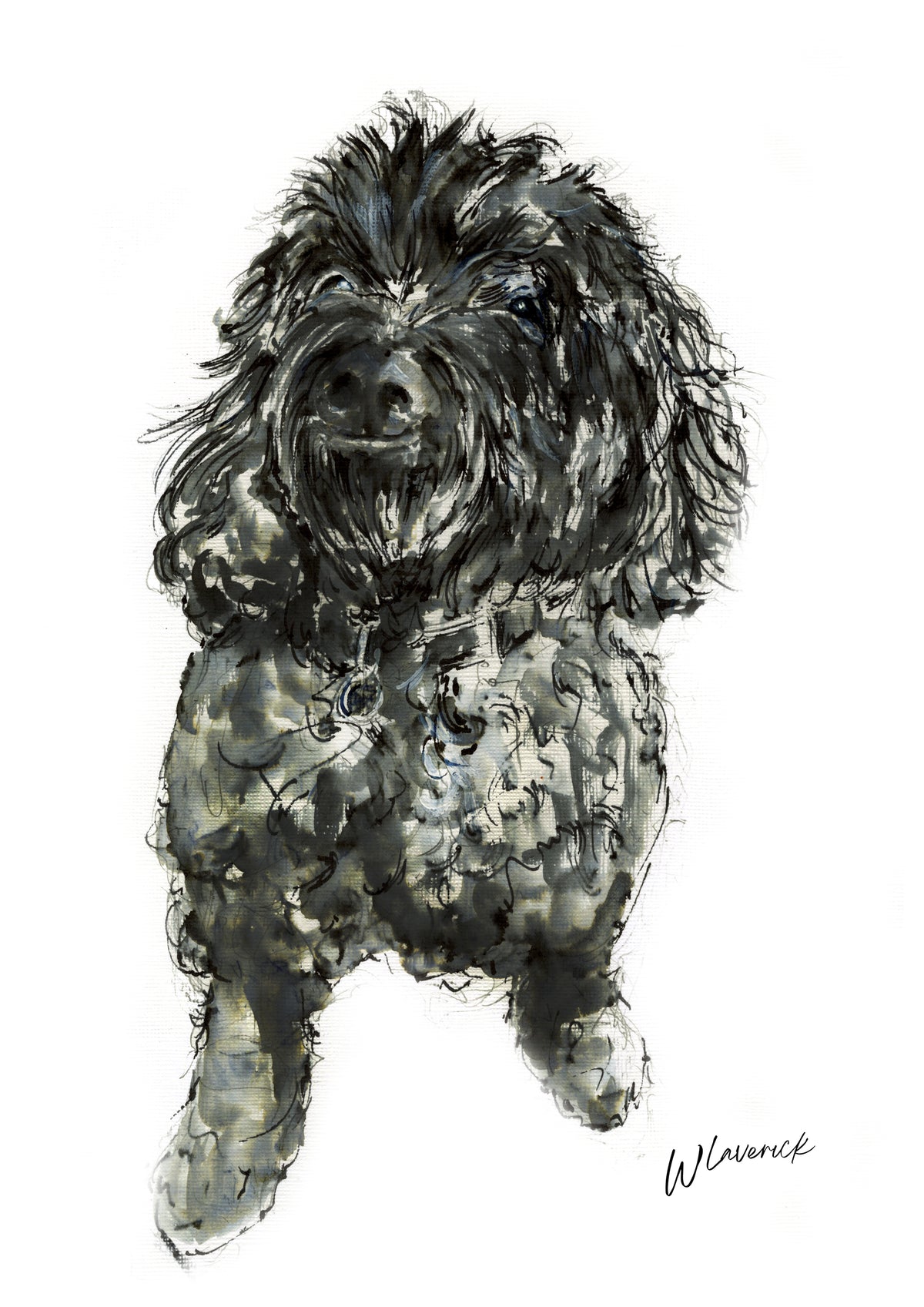 Framed Print of Daisy the Cookapoo image 1