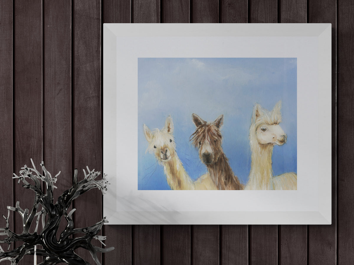 Framed Print the Three Alpaca Musketeers image 2