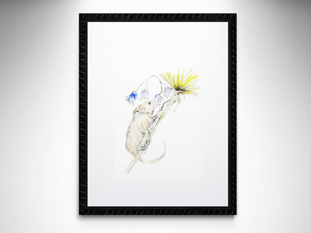 Framed Print Buttercup the Mouse