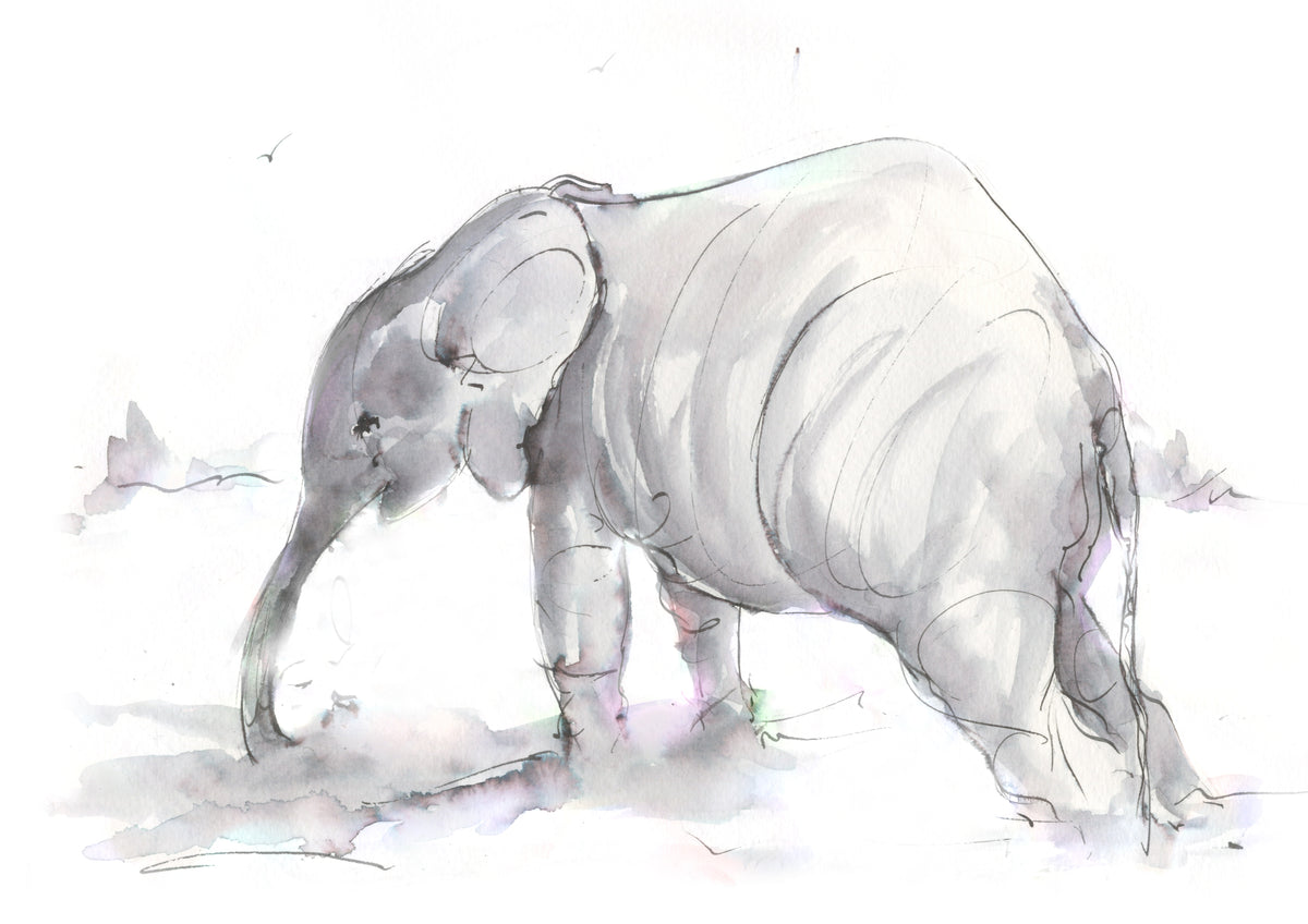 Framed Print Ellie the Elephant image 1