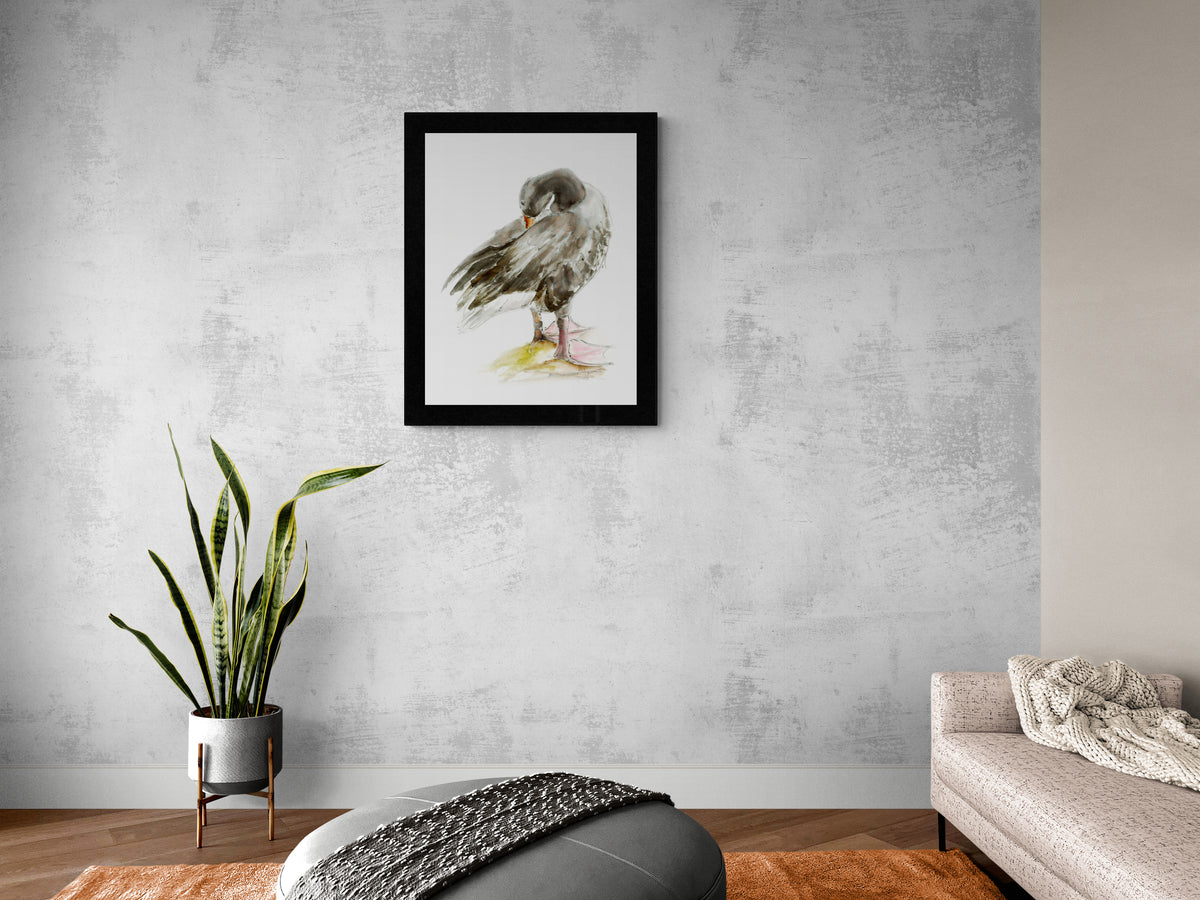 Framed Print Jason the Duck