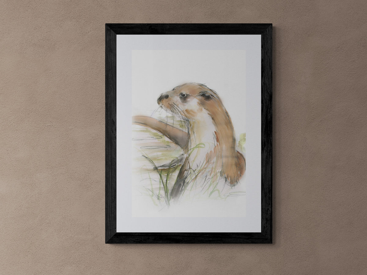 Framed Print Oakley the Otter  image 3