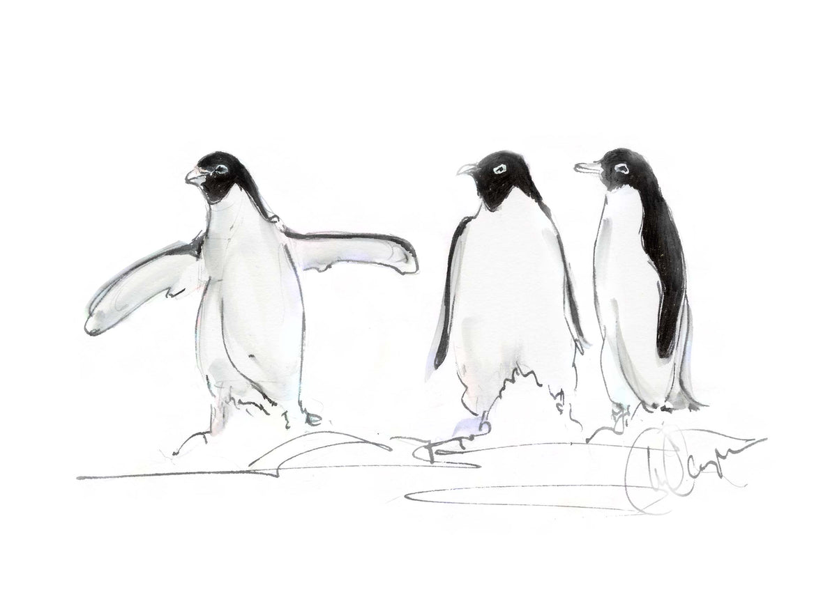 Framed Print Penguins Ezra Tyler & Carson image 1