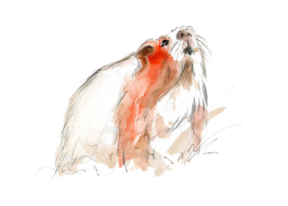 Framed Print Henry the Guinea Pig image 1