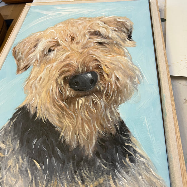 A Memory of Alfie