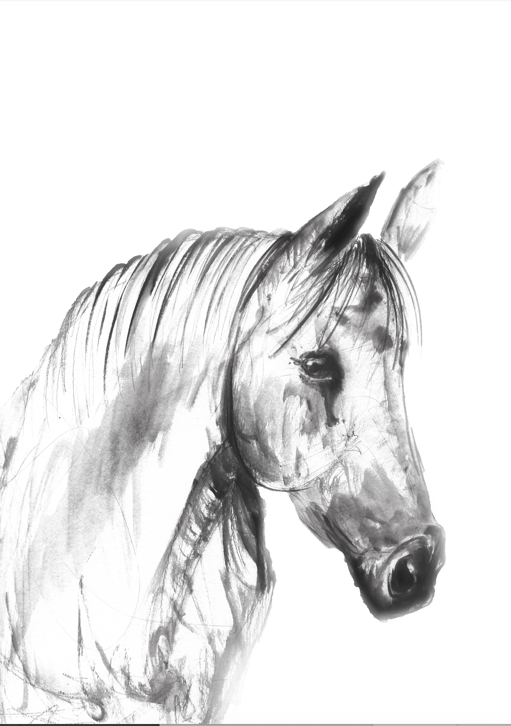 Emma the Horse animal art print by Wendy Laverick