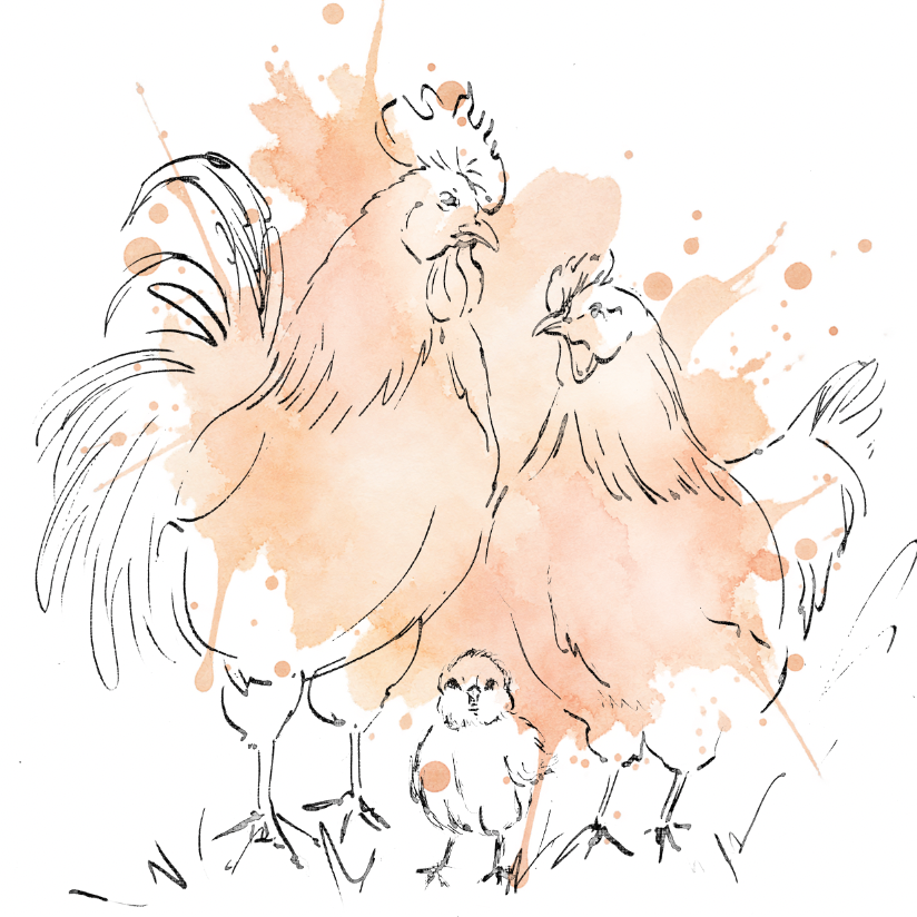 Chickens Peach – Nursery Wall Art Print | Hen, Rooster & Chick