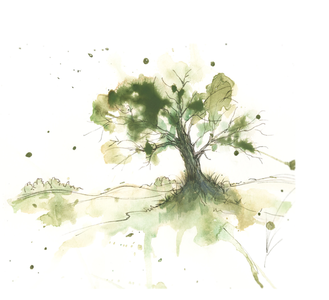 Green Landscape – Tree Fine Art Print
