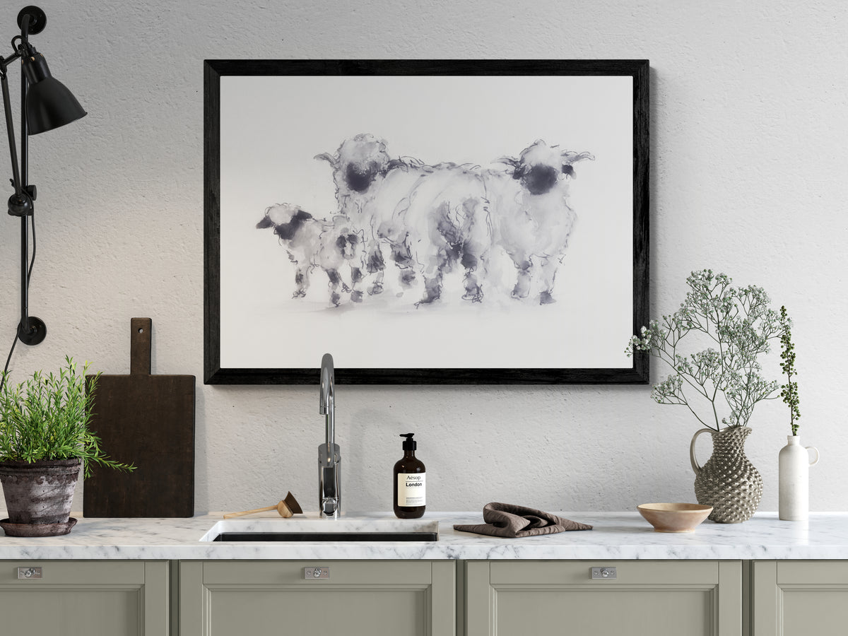 Limited Edition Canvas Print Valais Blacknose Sheep