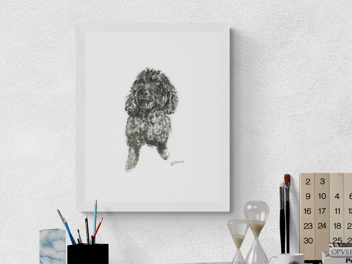 Framed Print of Daisy the Cookapoo image 4