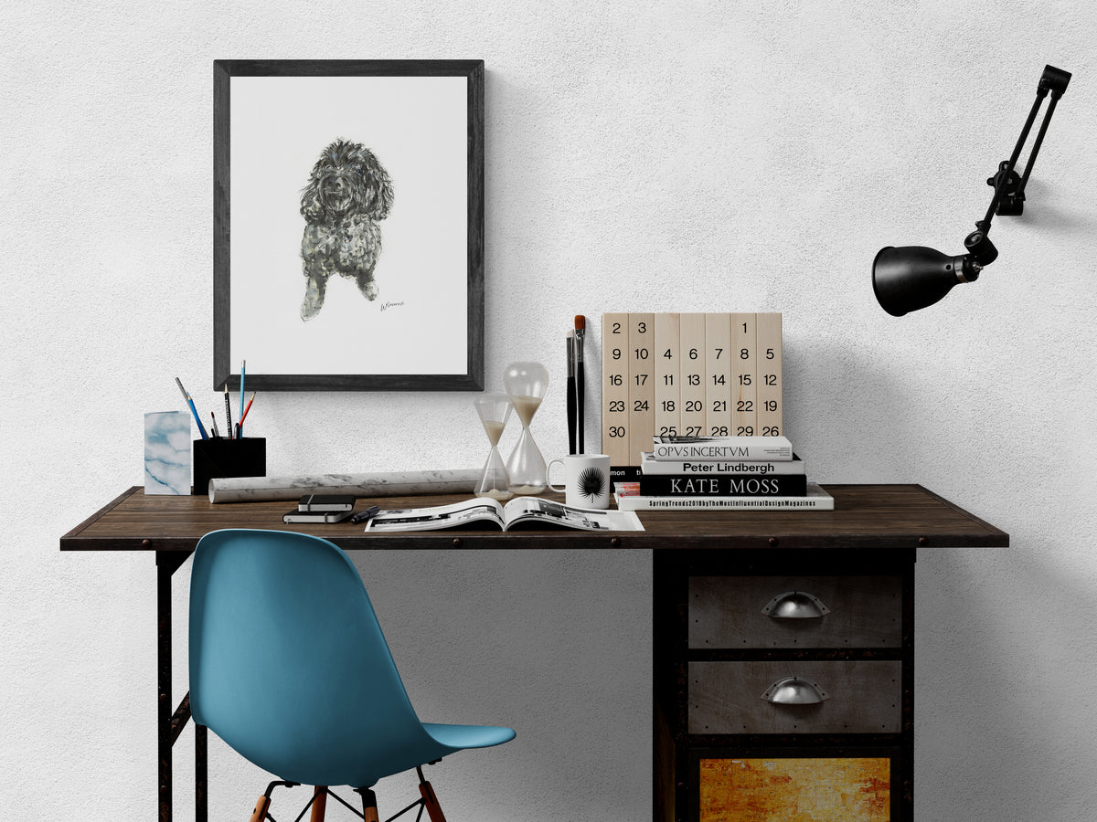 Framed Print of Daisy the Cookapoo image 3