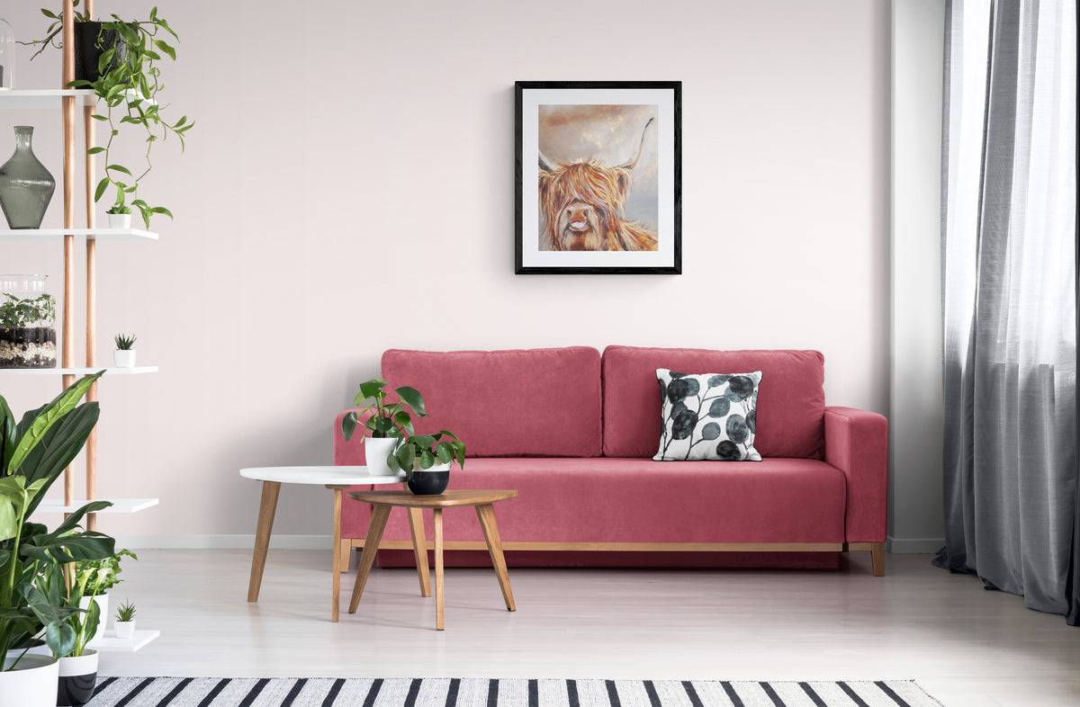 Framed Print Duncan the Highland Cow image 3