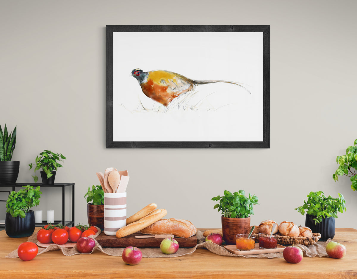 Framed Print Pheasant