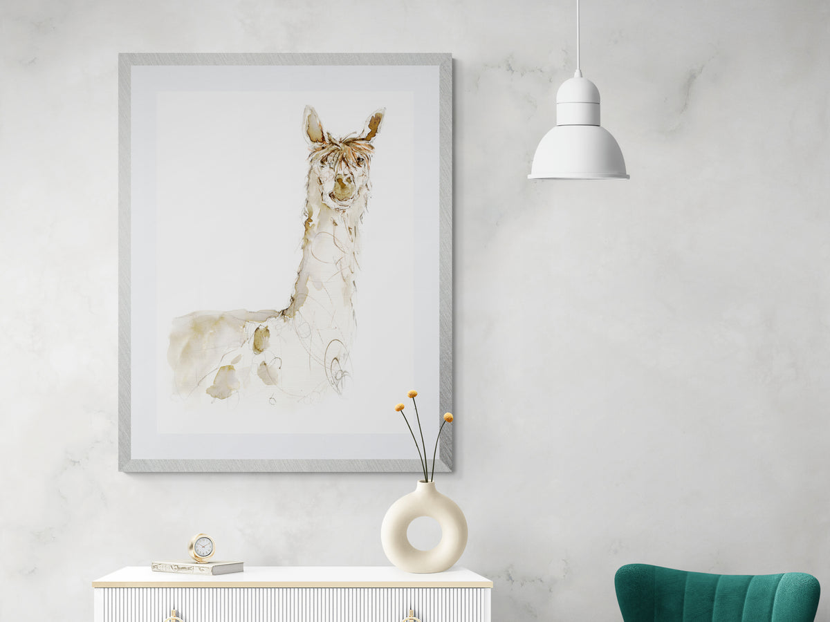 Framed Print Arnold the Alpaca