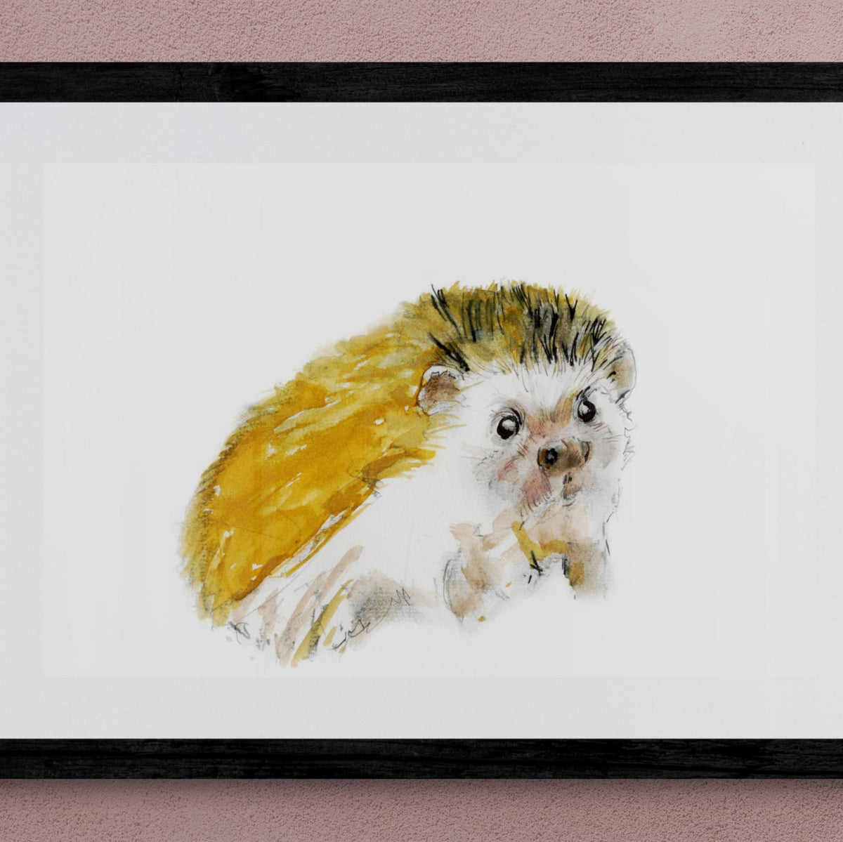 Framed Print Bailey the Hedgehog image 0