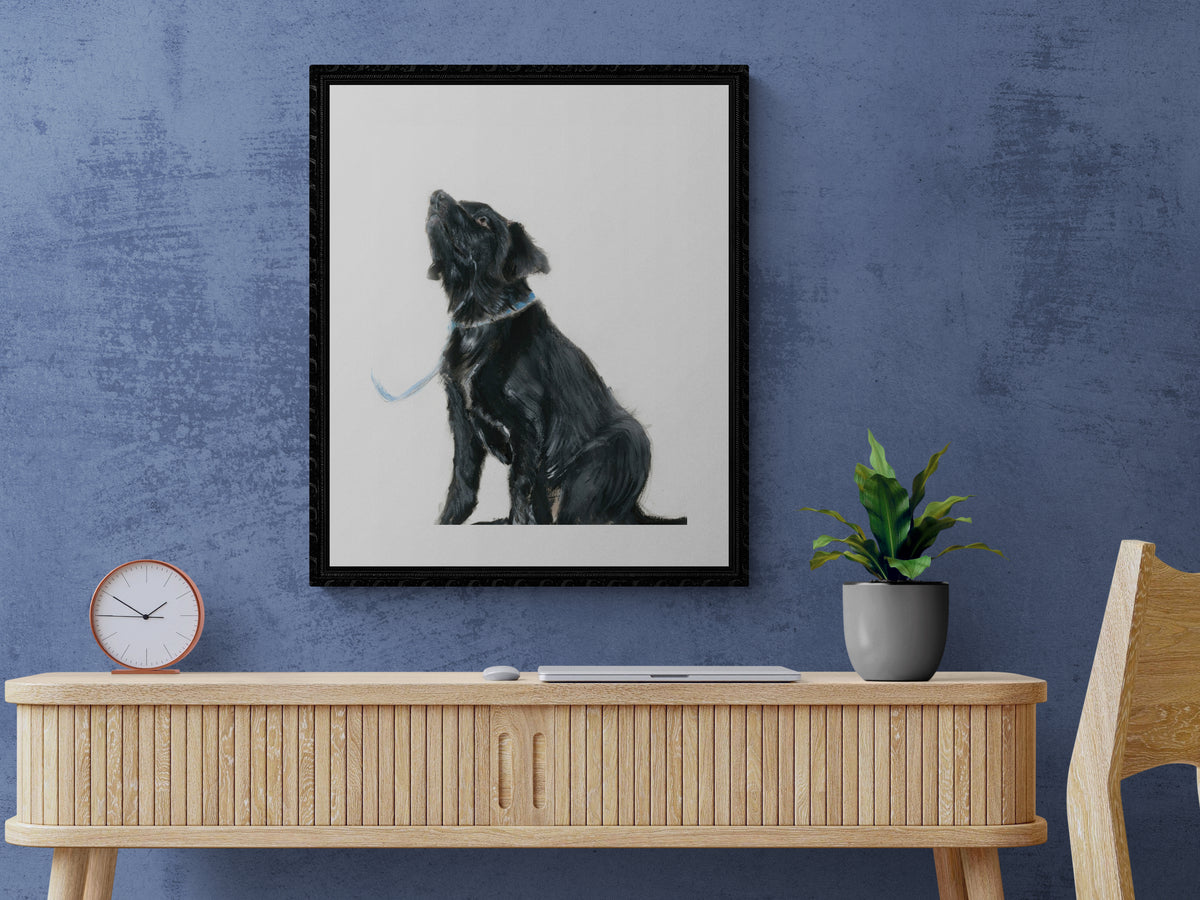 Framed Print Isobel the Labrador
