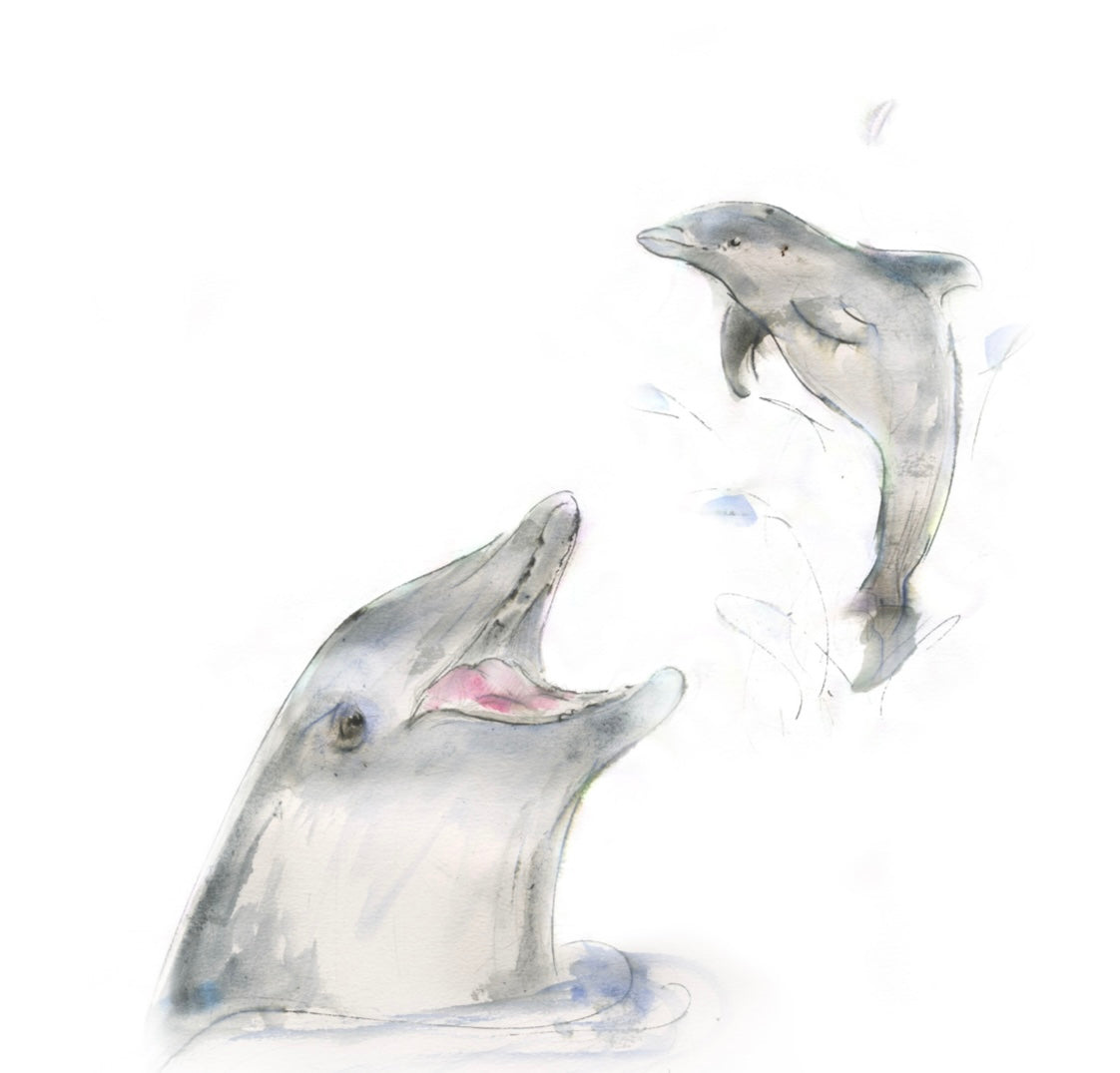 Framed Print  Fin and Flipper the Dolphins