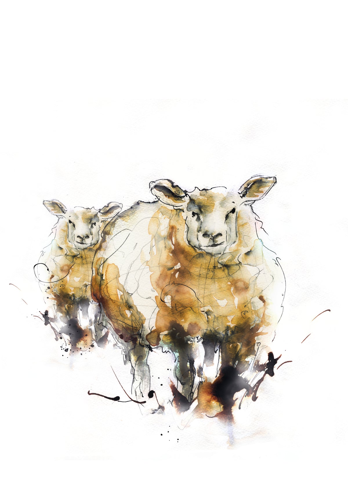 Framed Dolly and Daisy Welsh Woolly Sheep image 1