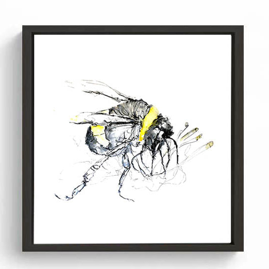 Limited Edition Square Canvas Print Bertie the Bumble Bee