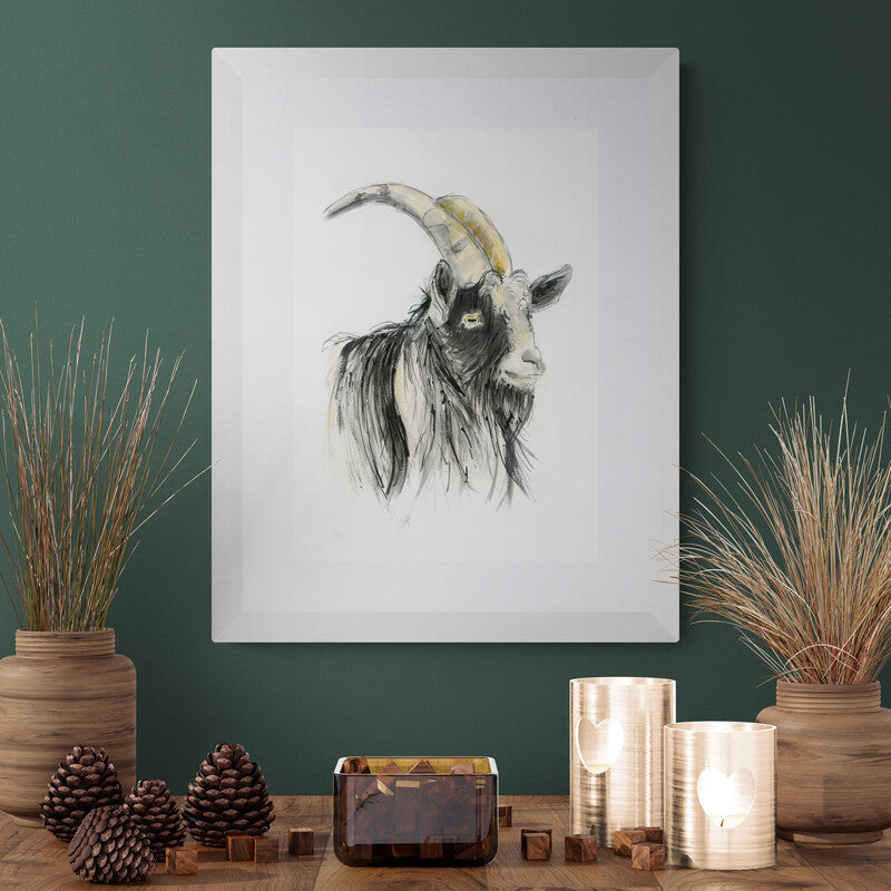 "Gareth the Welsh Mountain Goat"